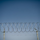 Illustration for article titled Where Should Jails House A Transsexual Prisoner?
